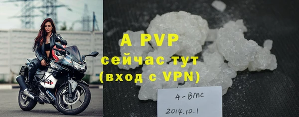 индика Алексин