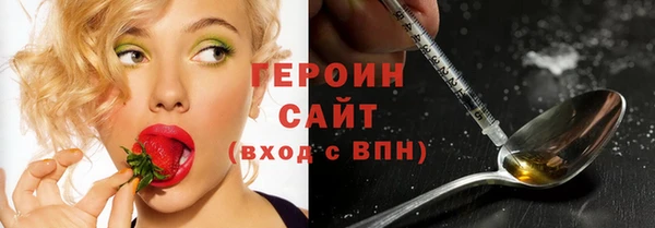 индика Алексин