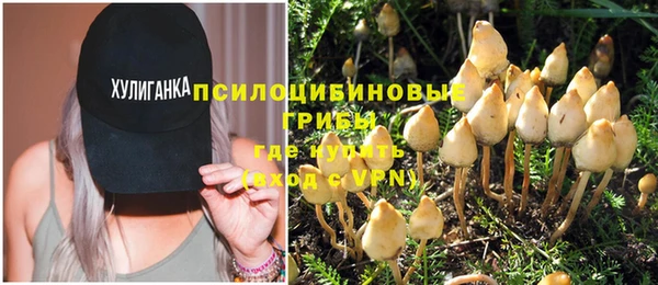 спайс Алзамай
