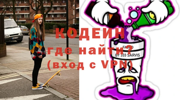 индика Алексин