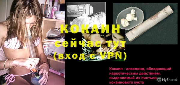 спайс Алзамай