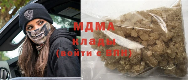 индика Алексин