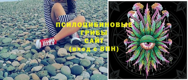 индика Алексин