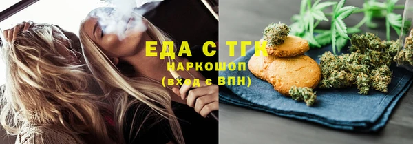 индика Алексин
