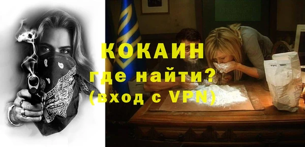 индика Алексин
