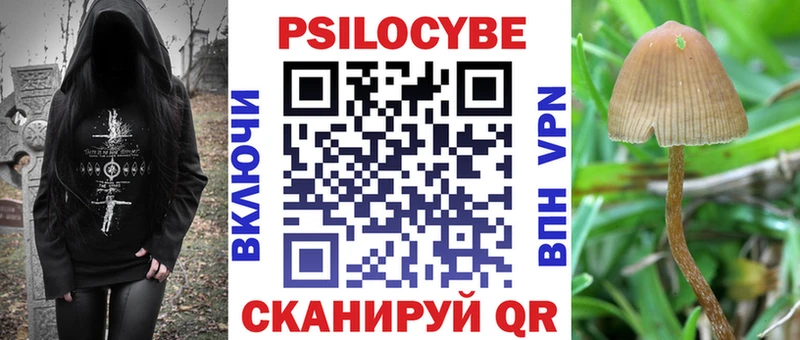 Псилоцибиновые грибы GOLDEN TEACHER Черемхово
