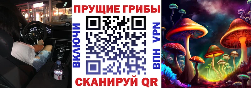 Галлюциногенные грибы Psilocybe  Черемхово 